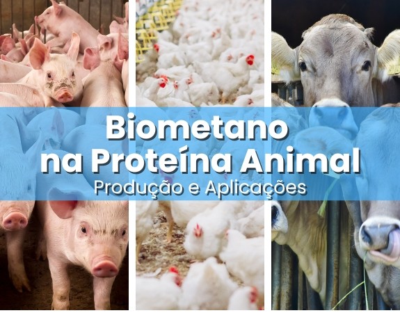 Biometano na Proteína Animal: produção e aplicações