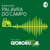 Palavra do Campo